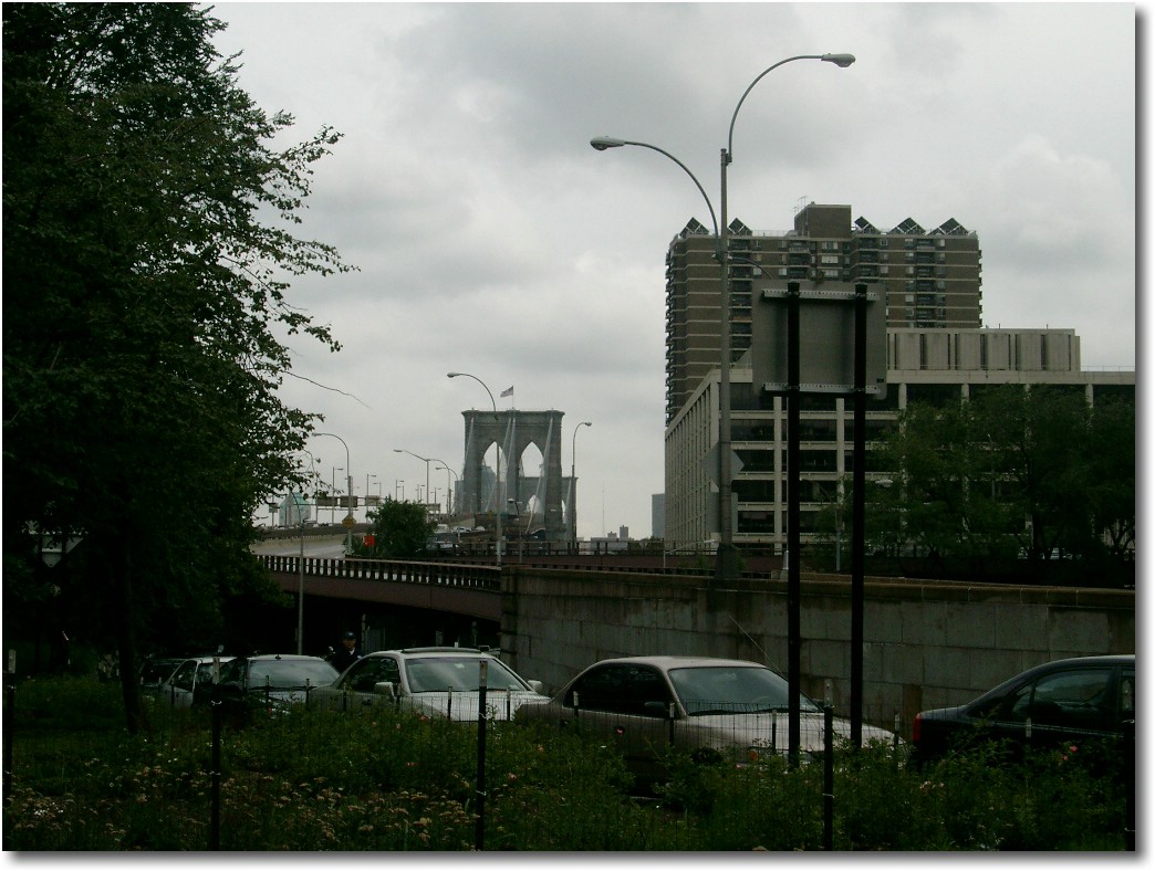 IMGP0678.JPG