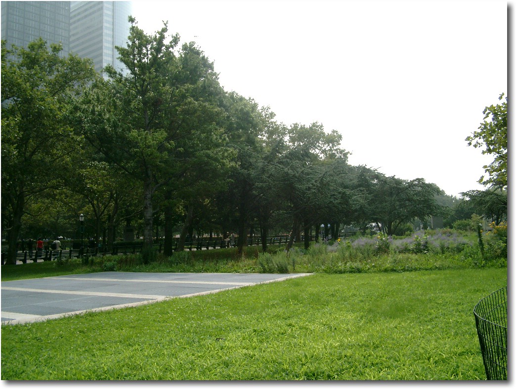 IMGP0775.JPG