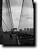 IMGP0687a.JPG