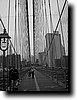 IMGP0687c.JPG