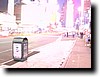 IMGP0704b.JPG