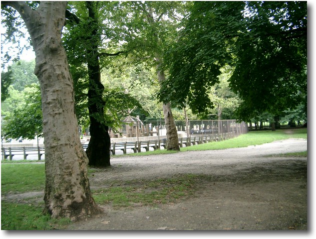 IMGP0535.JPG