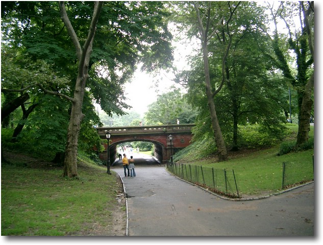 IMGP0536.JPG