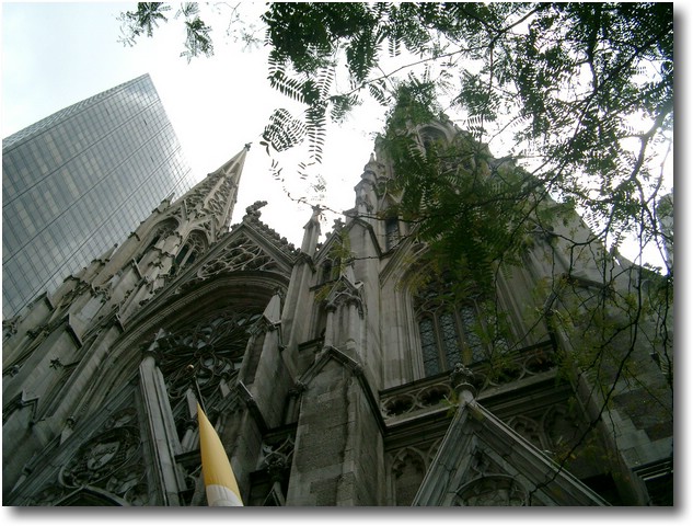IMGP0574.JPG