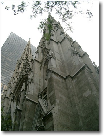 IMGP0575.JPG