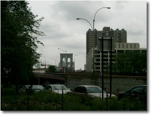 IMGP0678.JPG