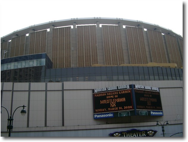 IMGP0768.JPG