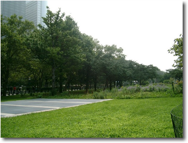 IMGP0775.JPG