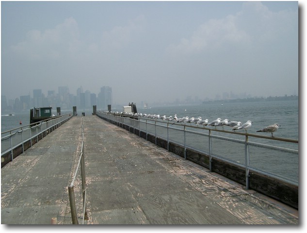 IMGP0810b.JPG