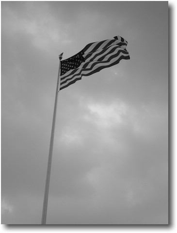 IMGP0867.JPG