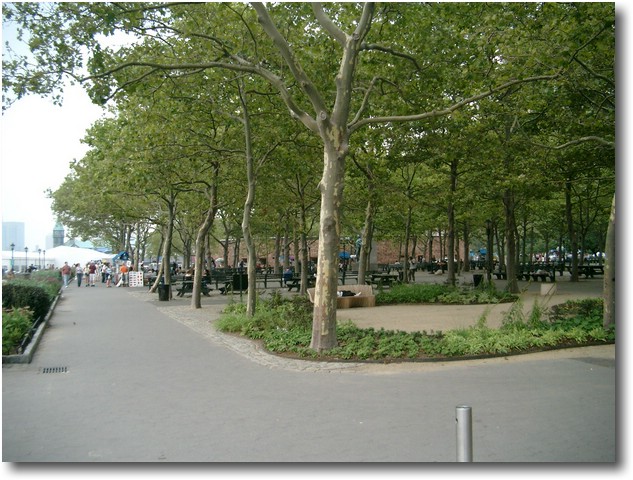 IMGP0869.JPG