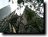 IMGP0574.JPG