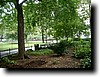 IMGP0594.JPG