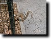 IMGP0598.JPG